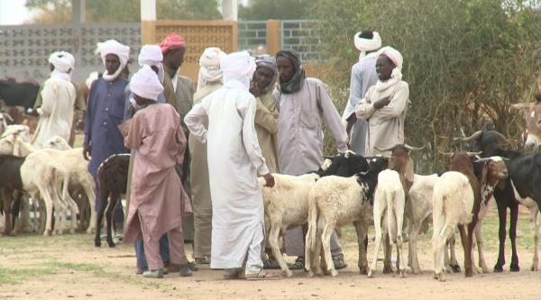 Parmi ses objectifs, le projet Praps II vise à faciliter les échanges régionaux. Marchandage au marché à bétail de Karimé (Tchad)